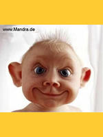 Image de tendrethierry