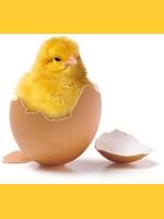 Trombi de Le_poussin