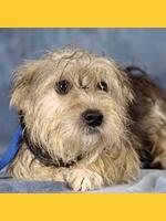 Image de lepetitboucher