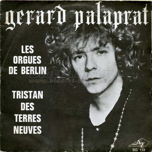 Gérard Palaprat - Les orgues de Berlin