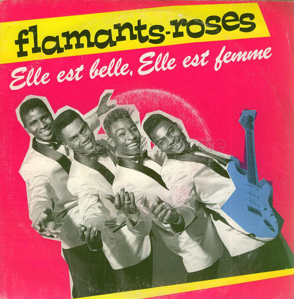 Flamants Roses, Les - V.O. V.F. (version anglophone)