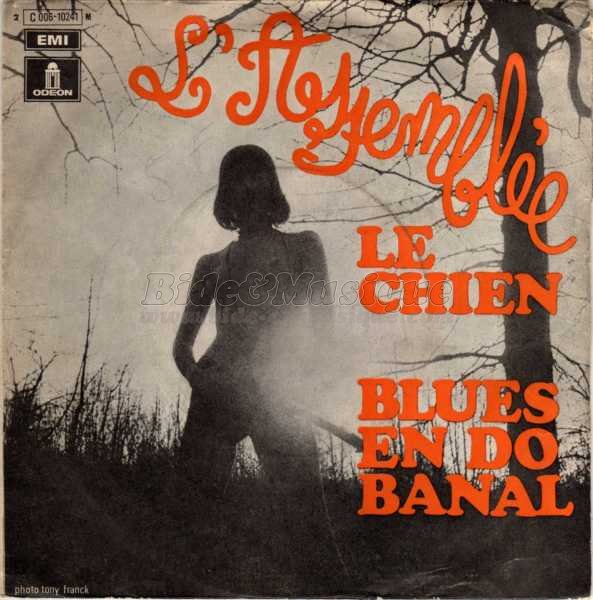 L'Assemblée - Le chien