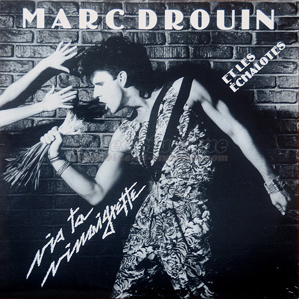 Marc Drouin et les Échalotes - Vive le Québec Bide !