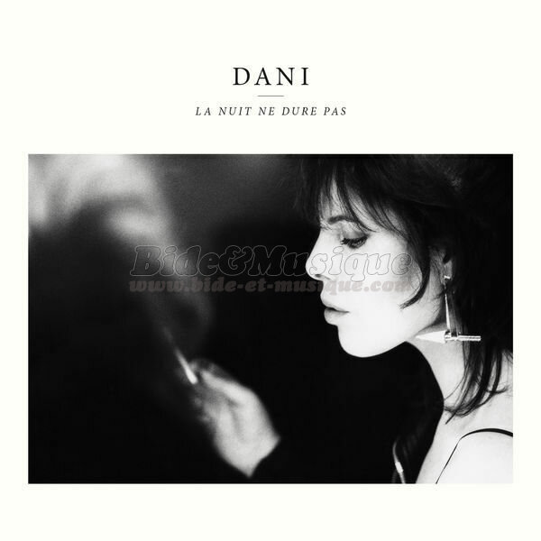 Dani - N comme Never again