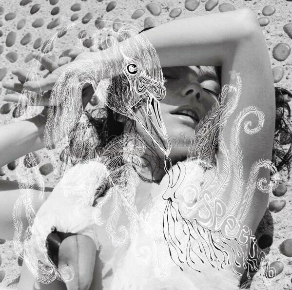 Björk - Noughties