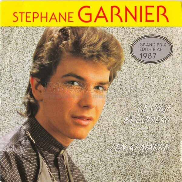 Stéphane Garnier - J'en ai marre (Paris-Dakar)