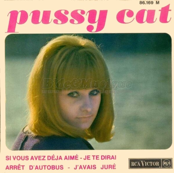 Pussy Cat - Arrêt d'autobus