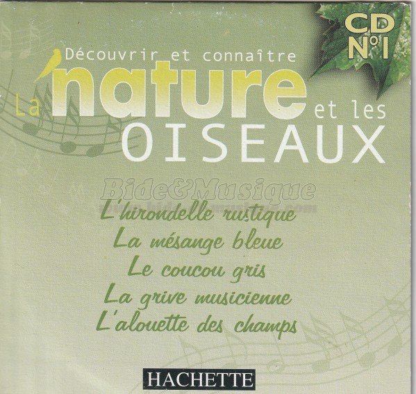 François Morel - bidoiseaux, Les