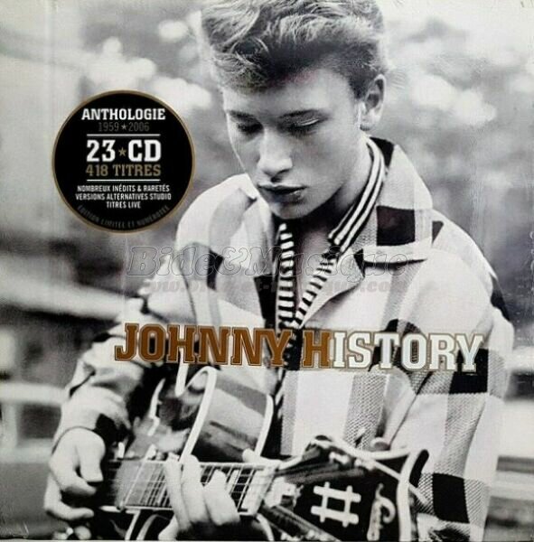 Johnny Hallyday - Love on the Bide