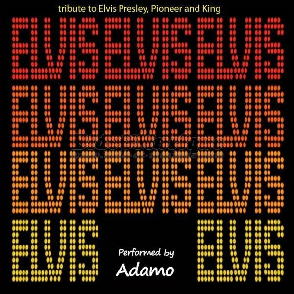 Adamo - Teddy bear