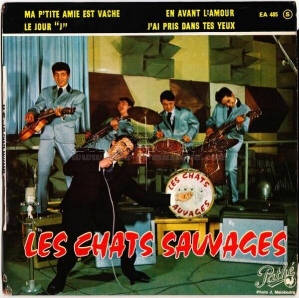 Chats Sauvages, Les - Rock'n Bide