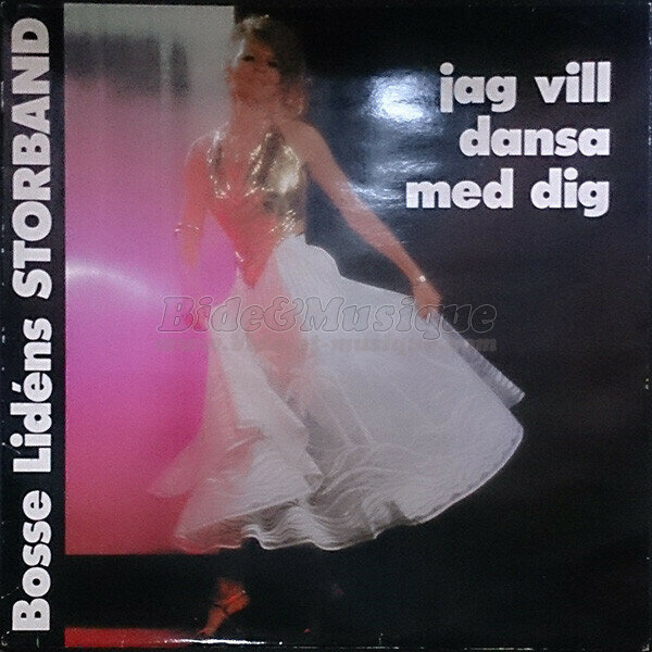 Bosse Lidéns Storband - Med lite hjälp av en vän