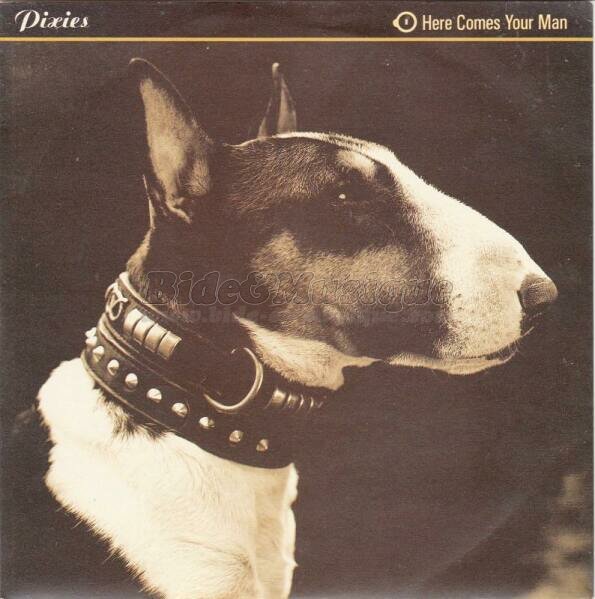 Pixies - Here comes your Man