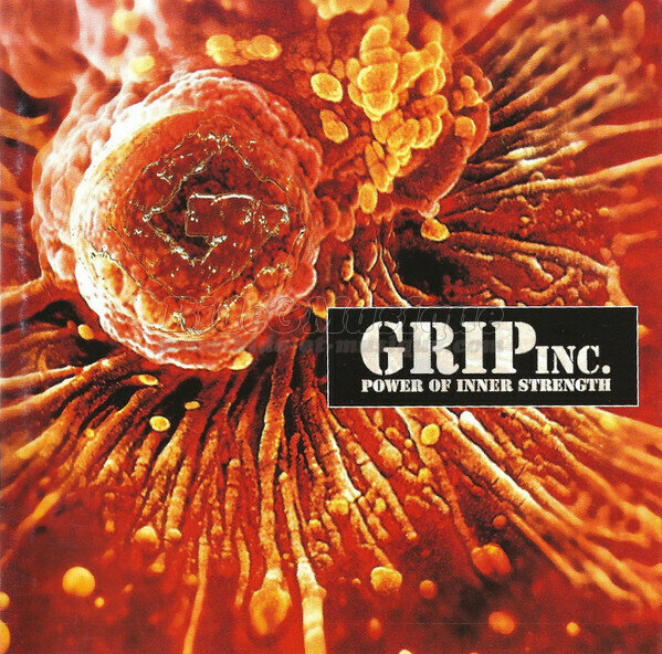 Grip Inc. - coin des guit'hard, Le