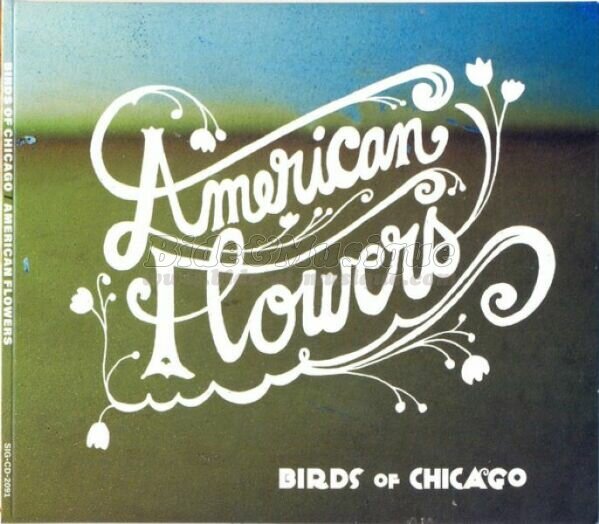 Birds of Chicago - Jazz n' Swing