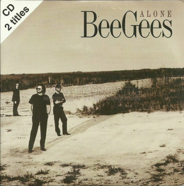 Bee Gees - 90'