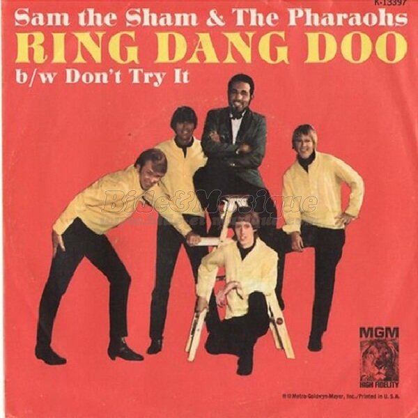 Sam The Sham and The Pharaohs - Sixties