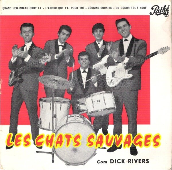 Chats Sauvages, Les - Rock'n Bide