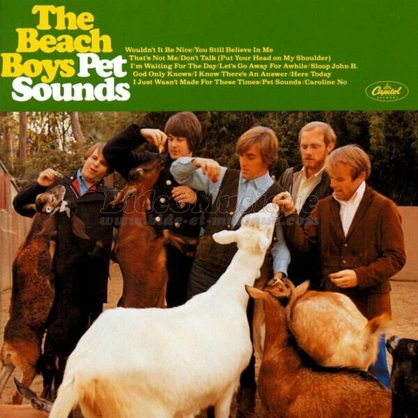 Beach Boys, The - Sixties