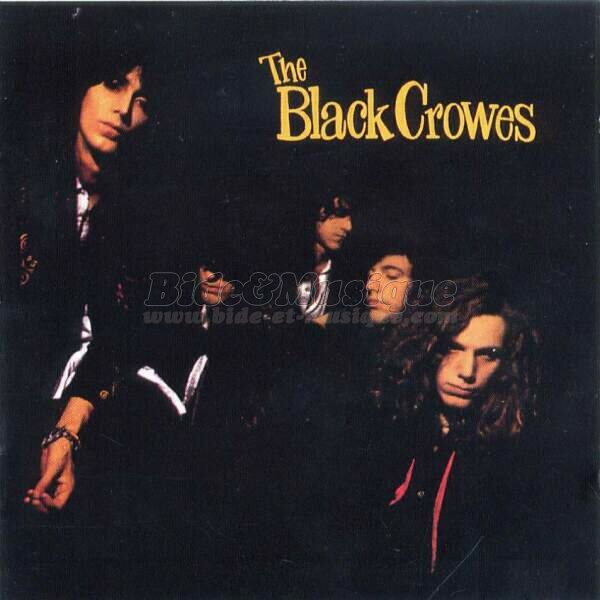 The Black Crowes - Hard to Handle