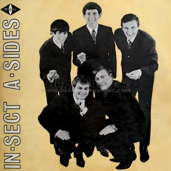 In-Sect, The - Sixties