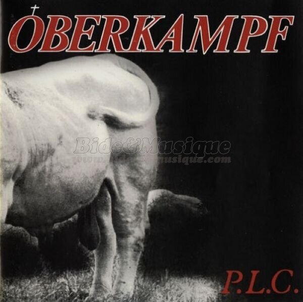 Oberkampf - Gainsbide