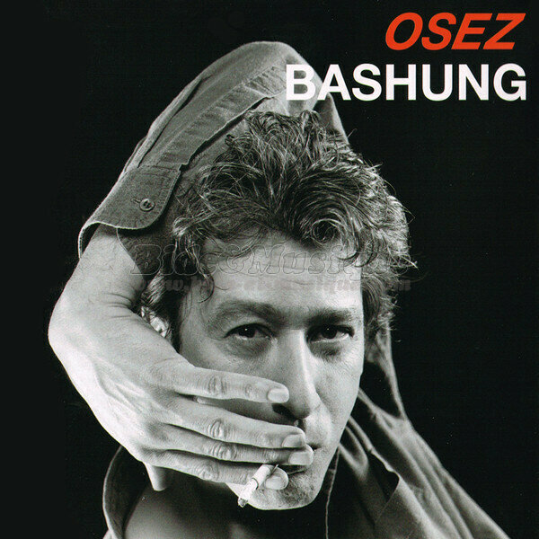 Alain Bashung - Les amants d'un jour