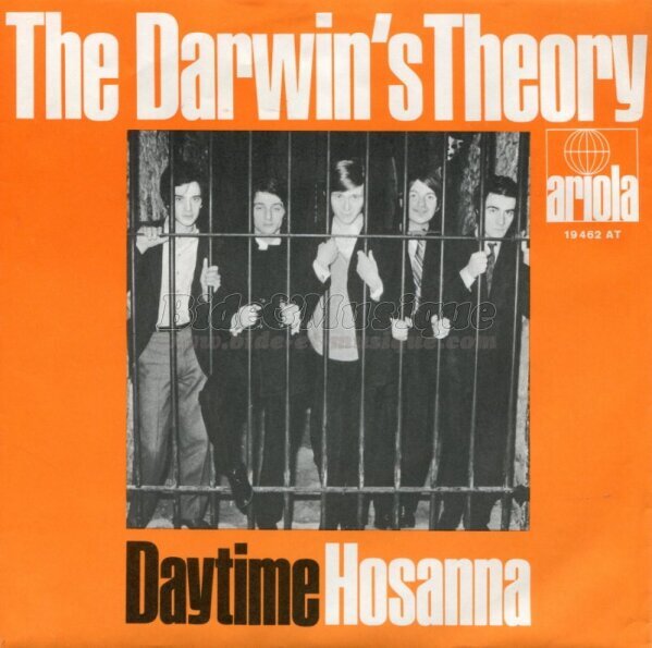 The Darwin's Theory - Daytime