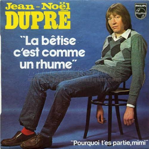 Jean-Noël Dupré - La bêtise c'est comme un rhume