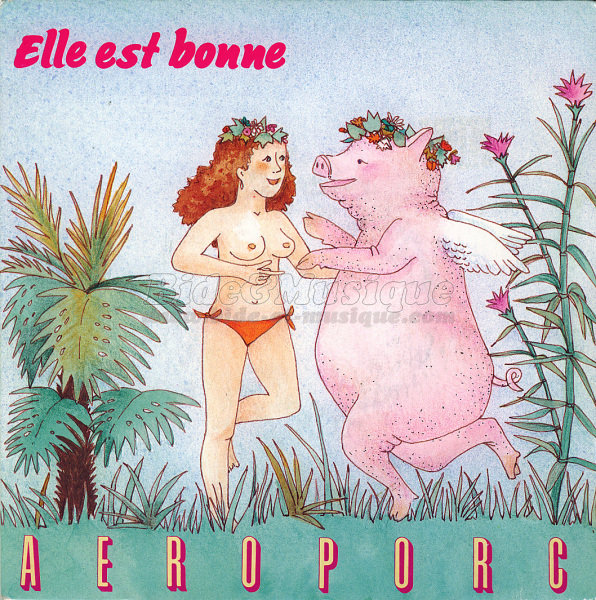 Aéroporc - journal du hard de Bide, Le
