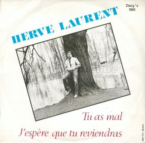 Hervé Laurent - Never Will Be, Les