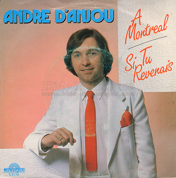 André d'Anjou - Tour du monde en 80 bides, Le