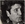 Vignette de Gilbert Bécaud - Je t'appartiens