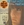 Vignette de Sandie Shaw - Prends la vie du bon côté