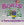Vignette de Boris - Le Noël de Boris