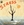 Vignette de André and Leslie - Stress