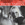 Vignette de Sylvie Vartan - Je n'ai pas pu résister