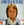 Vignette de Claude François - A part ça la vie est belle