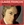 Vignette de Claude François - Roule