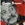 Vignette de Georges Brassens - Hécatombe