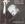 Vignette de André Sylvain - Les gens âgés