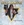 Vignette de Alice Cooper - Steven