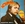 Vignette de Martin Mull - Jesus Christ football star