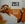 Vignette de Willie Mae "Big Mama" Thornton and Elroy Peace - Tarzan and the dignified monkey