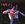 Vignette de Prince - I could never take the place of your man