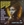 Vignette de Lulu - The man with the golden gun