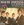 Vignette de Wayne Fontana - The game of love