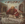 Vignette de Kansas - Carry on my Wayward Son