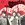 Vignette de The Beatles - Don't let me down