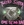 Vignette de Twisted Sister - Be cruel to your school